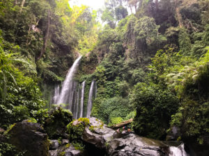 Indonesie Senaru Mont Rinjani cascade Sendang