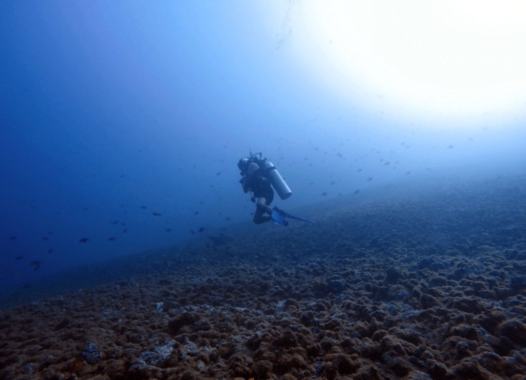 Sulawesi Indonésie Bunaken Plongée plongeur