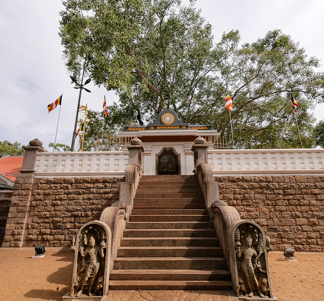 Sri Lanka Anuradhapura Bodhi Tree Bouddha Arbre
