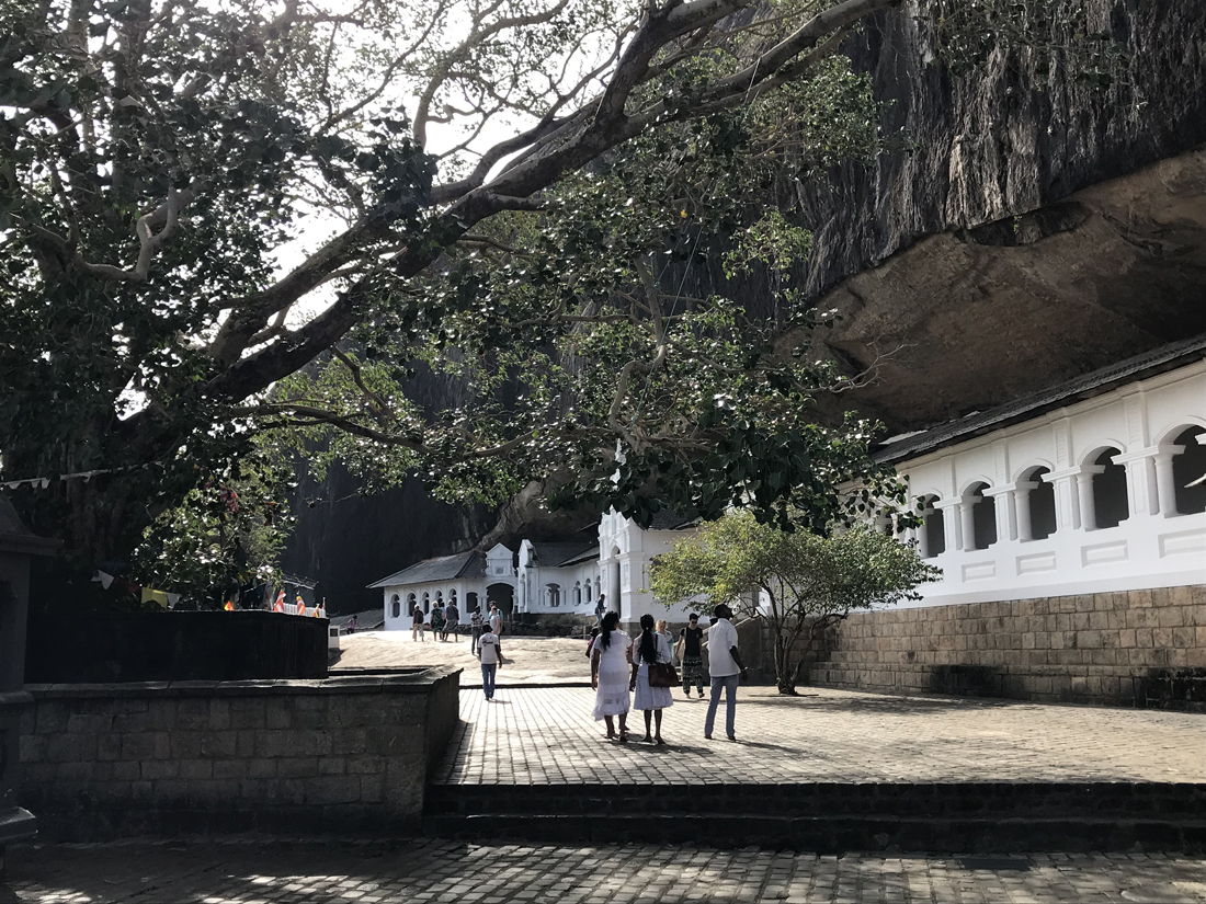 Sri Lanka Dambulla Cave Temple Bouddha