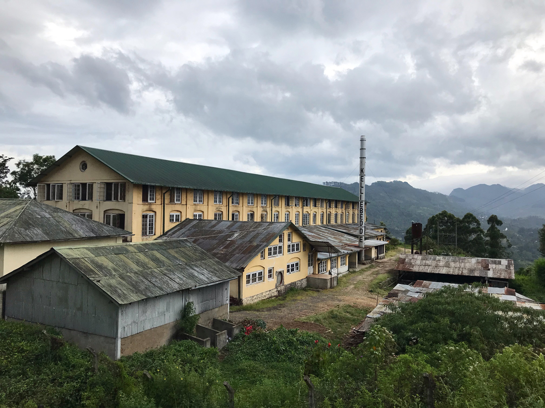 Sri Lanka Haputale Thé factory