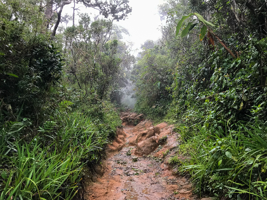 Sri Lanka Horton Plains Chemin