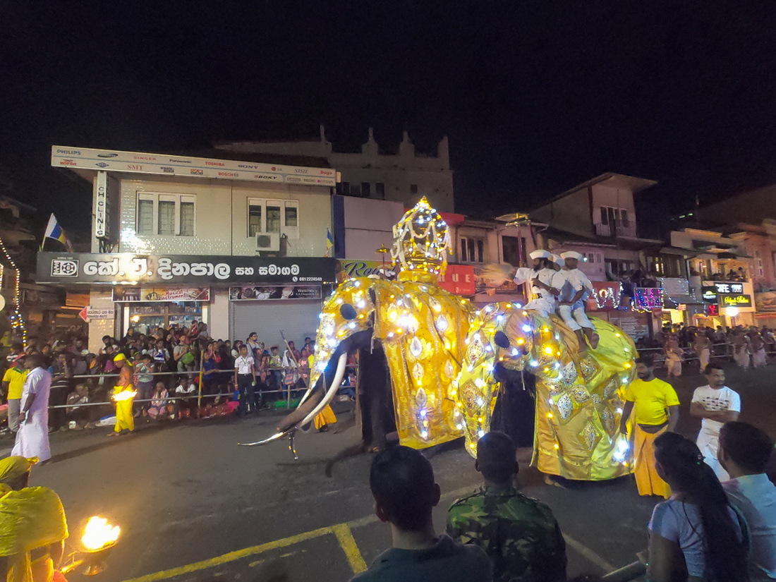 Sri Lanka Kandy Fête Esala Perahera Elephant Cérémonie Feu Danseurs Relique