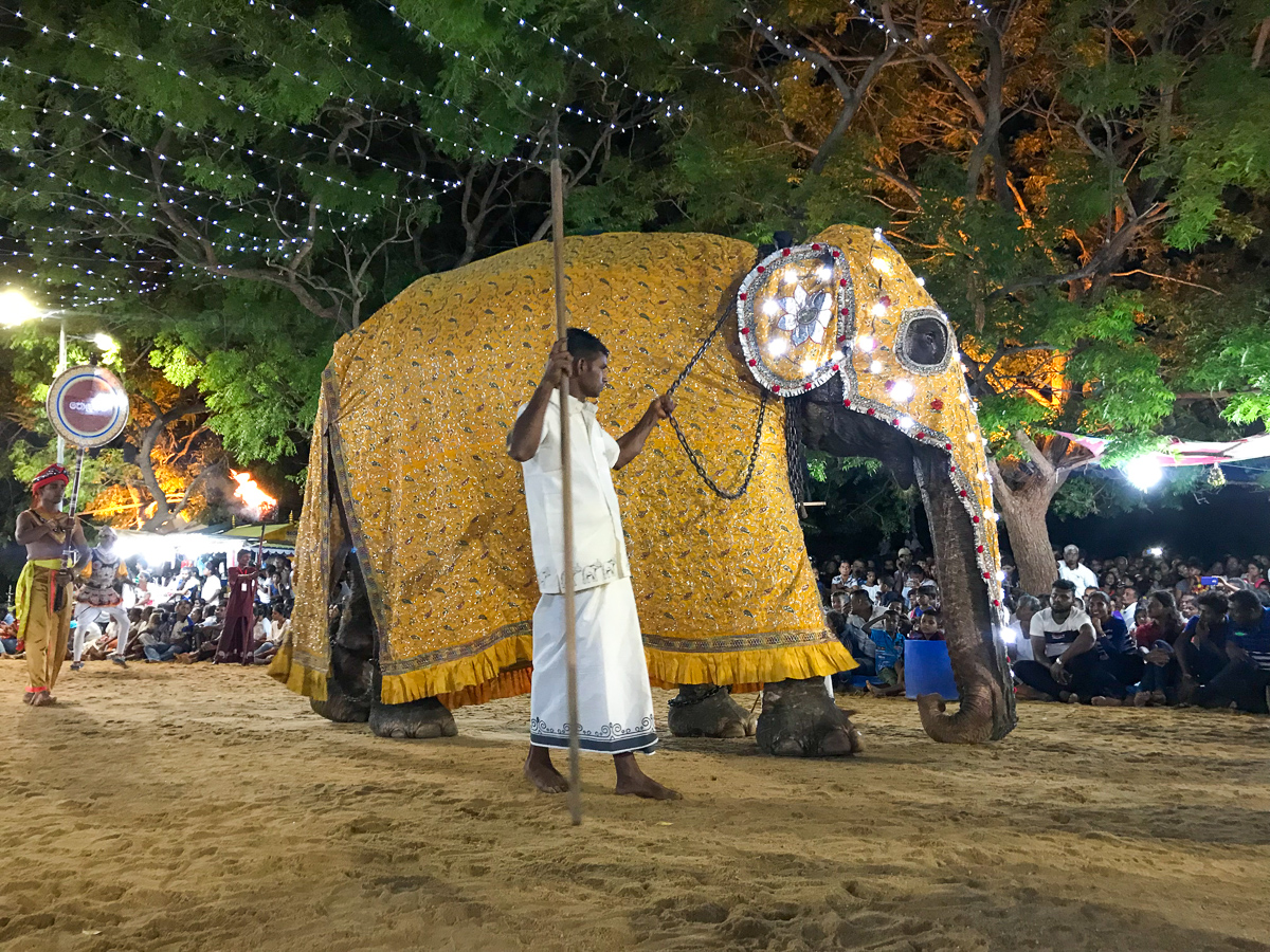 Sri Lanka Kataragama Fête Danse Elephant