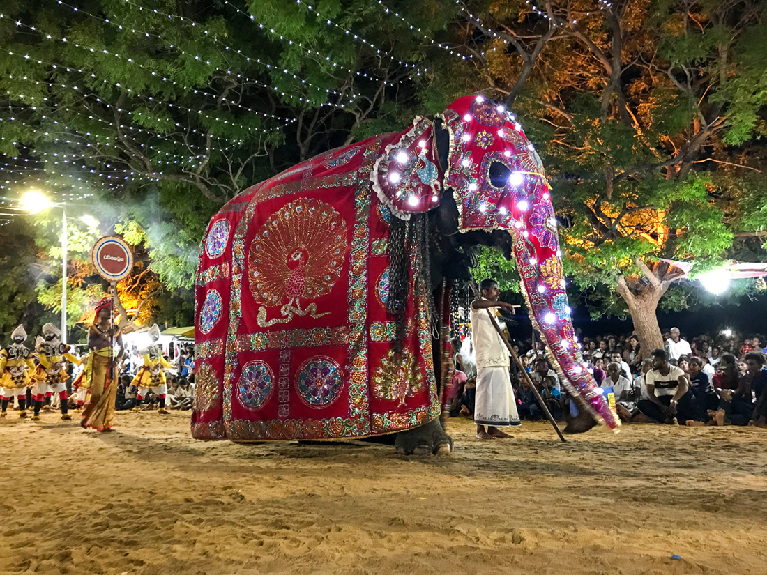 Sri Lanka Kataragama Fête Danse Elephant