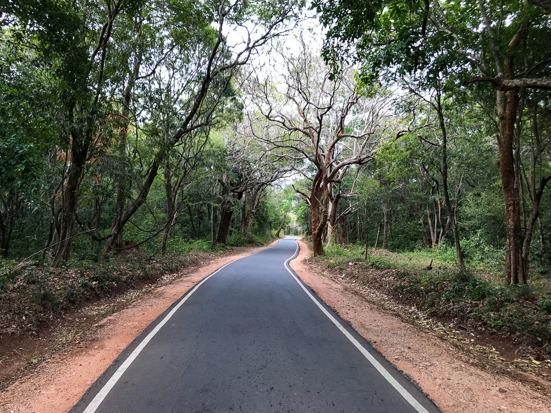 Sri Lanka Sigiriya Lion Rock Route