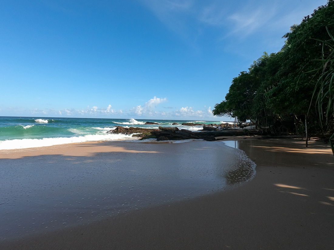 Sri Lanka Goyambokka Tangalle Plage Palmier Ocean
