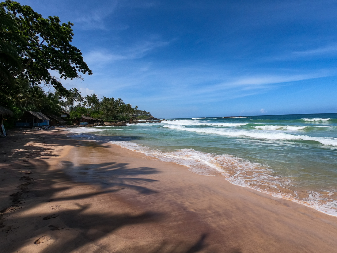 Sri Lanka Goyambokka Tangalle Plage Palmier Ocean