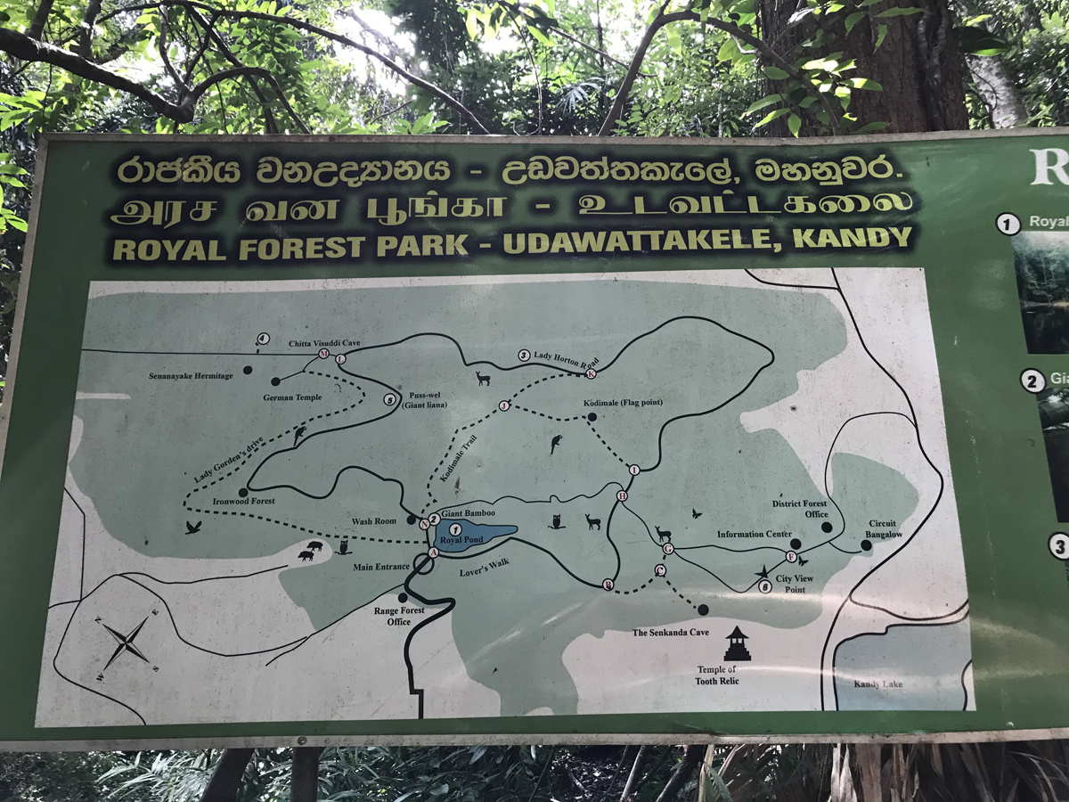Sri Lanka Kandy Foret Plan