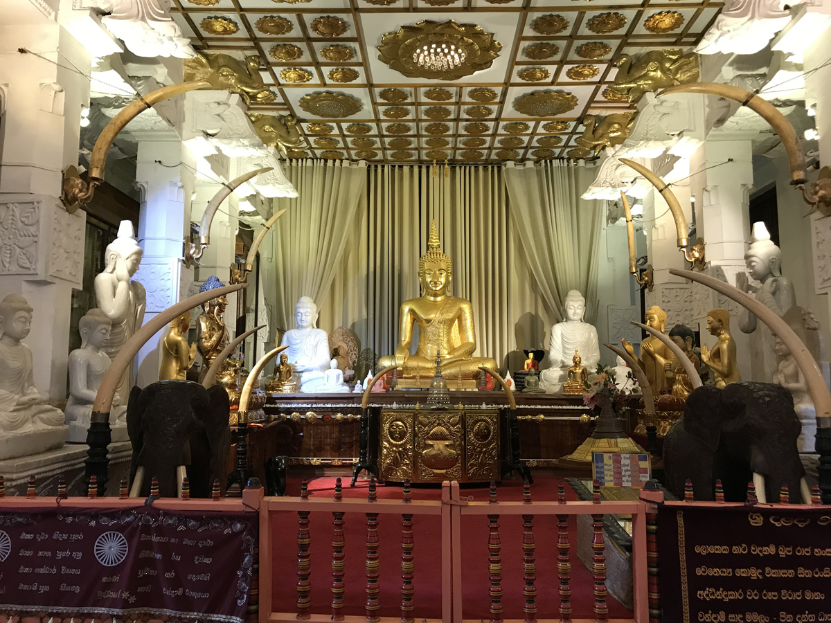 Sri Lanka Kandy Temple de la dent Eléphant Mausolée Relique Bouddha