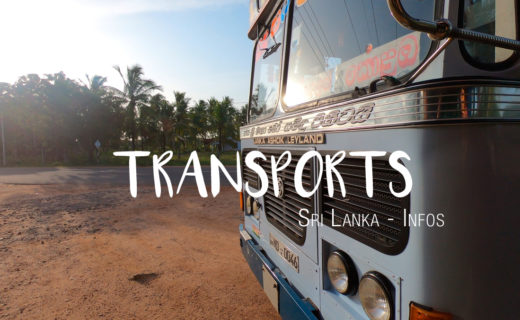 Sri Lanka Transports Bus Train Scooter