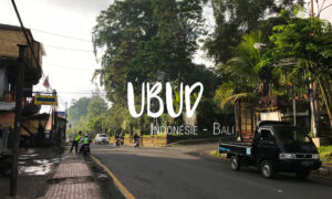 Ubud, une magnifique ville Balinaise