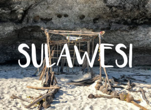 Sulawesi, les incontournables