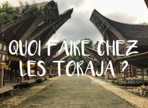 Quoi faire au Pays Toraja