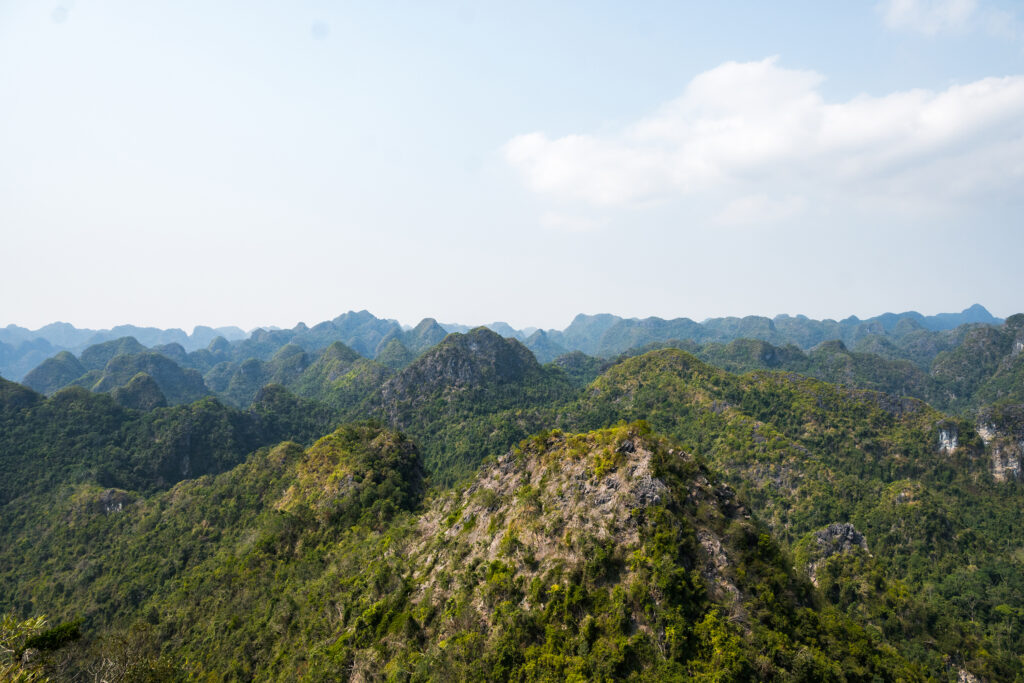 cat ba vue parc national